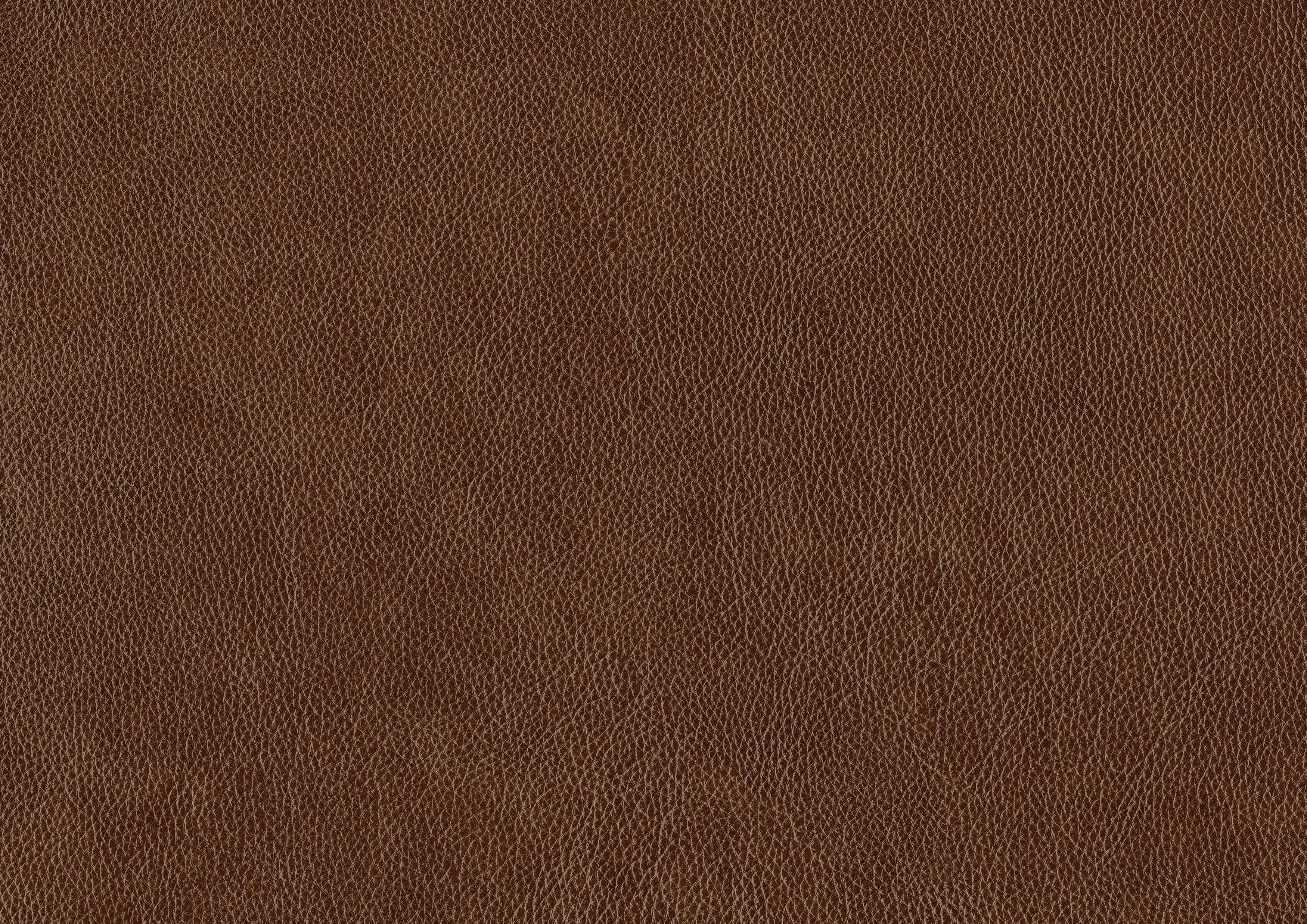 Braintree Accent Chair in Brown - 9278-3601 - Image 6