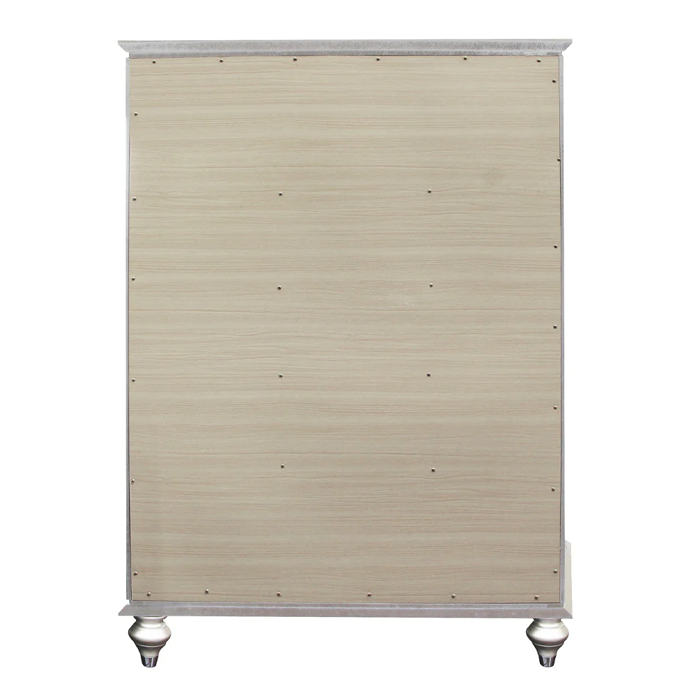 Chest - Image 5