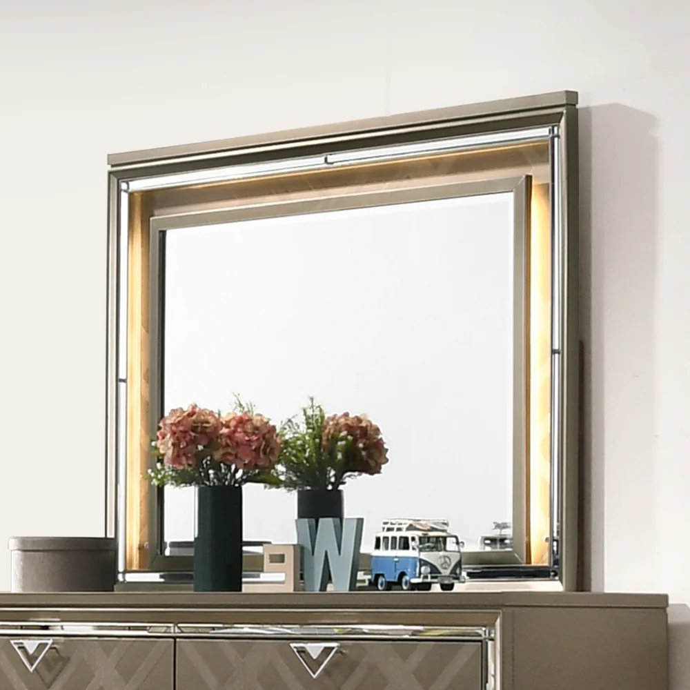 Mirror w/LED