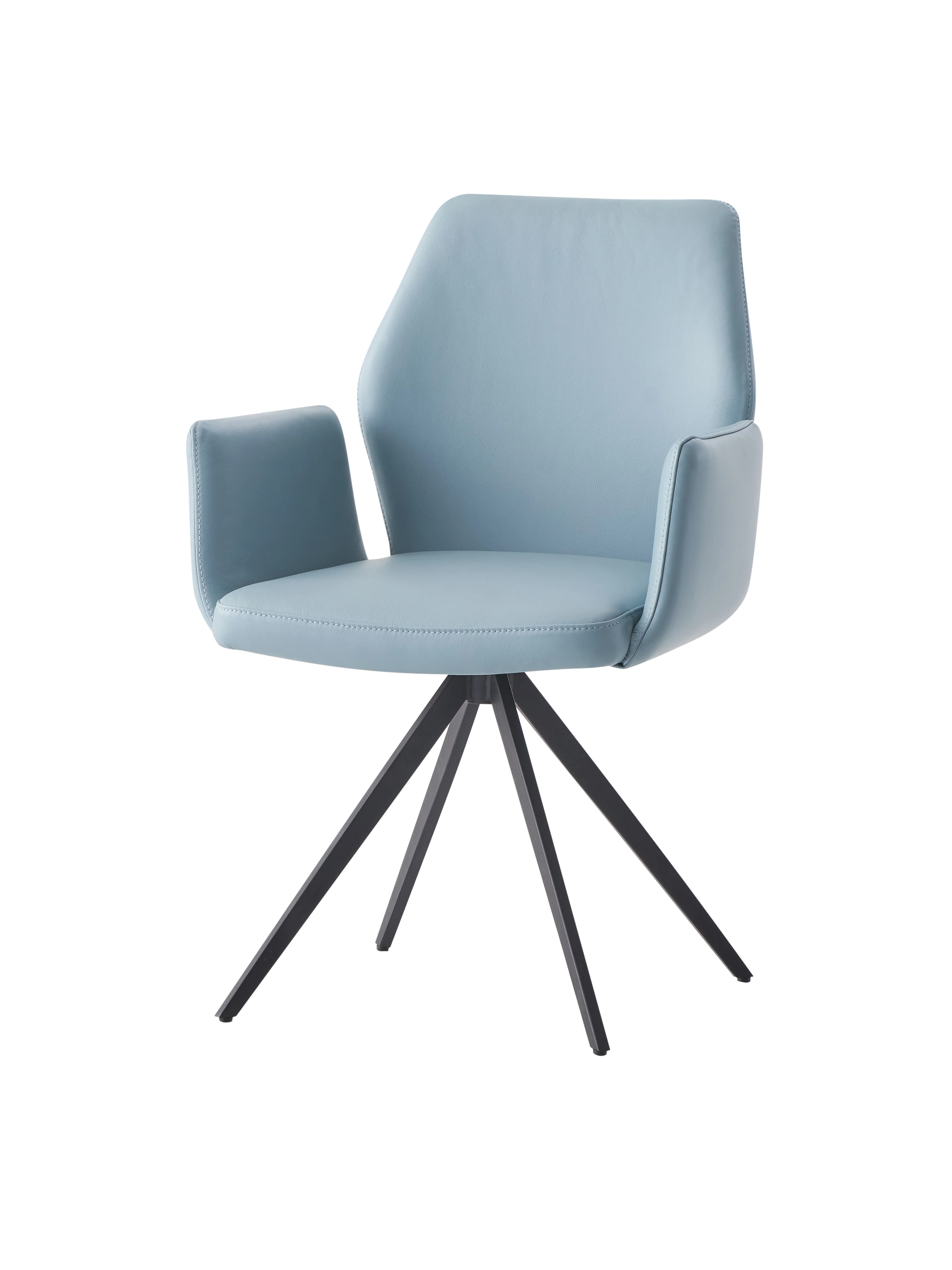 Segismunda Arm Chair w/Swivel - Image 10